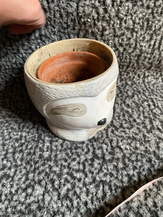 Neutral Sloth Ceramic Planter - Home Accents - Picture 9 of 11